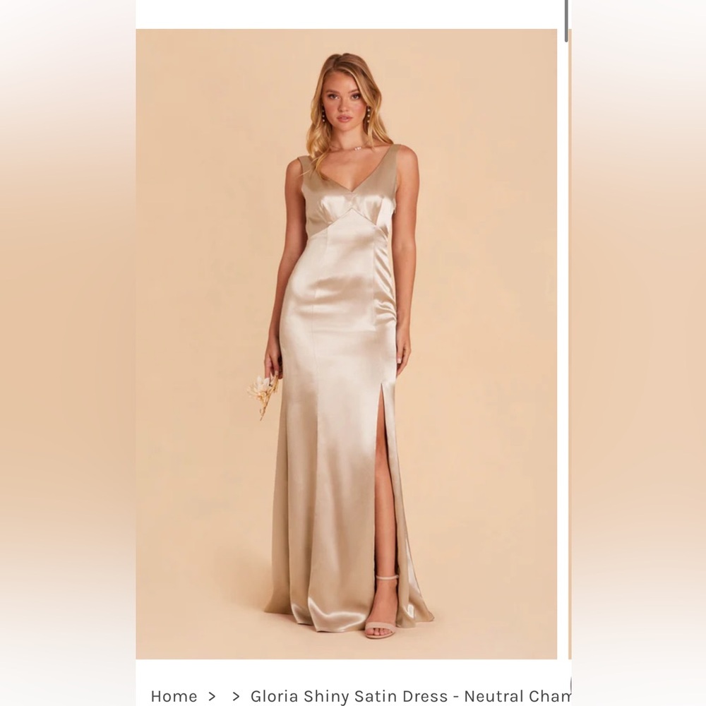 Birdy Grey Gloria Shiny Satin Dress Neutral Champagne